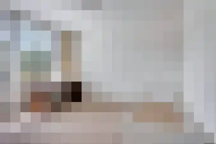Boschdijk 878 Eindhoven thumbnail 36