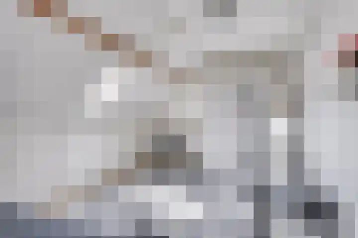 Boschdijk 878 Eindhoven thumbnail 38