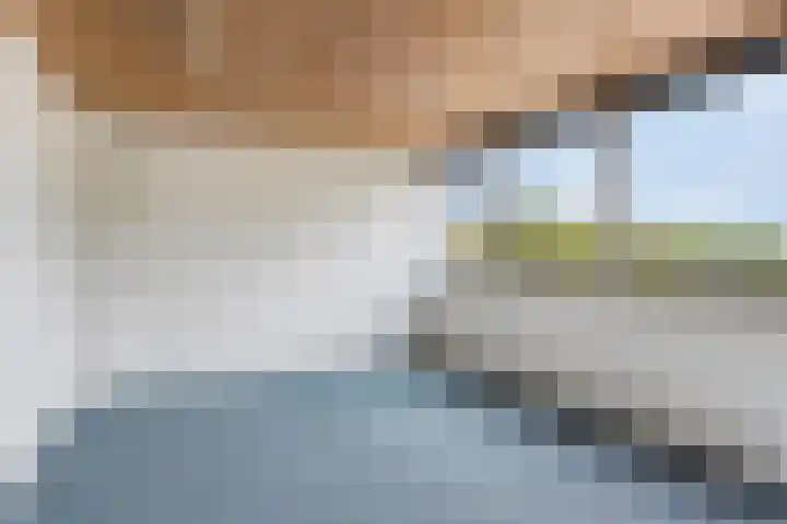 Boschdijk 878 Eindhoven thumbnail 40