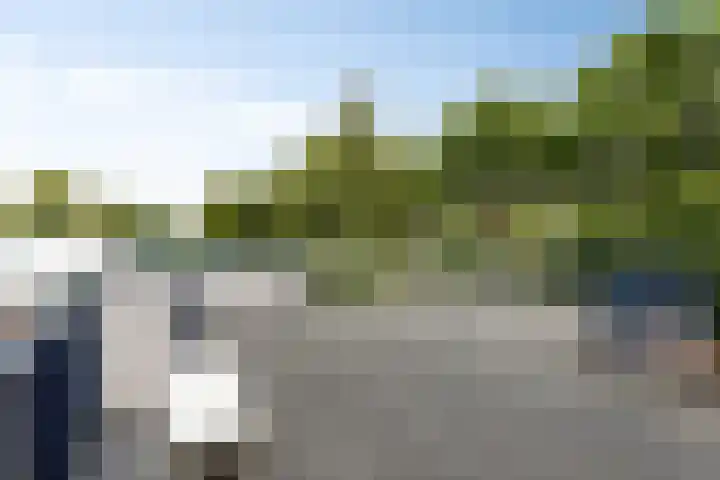 Boschdijk 878 Eindhoven thumbnail 43