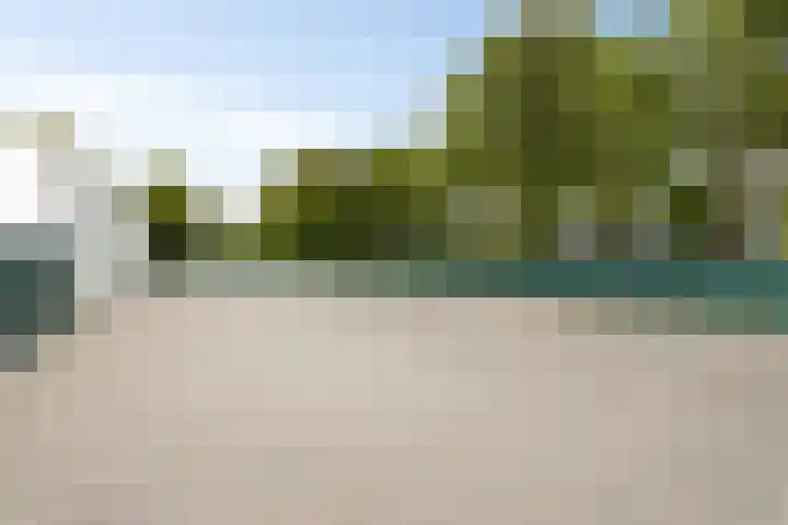 Boschdijk 878 Eindhoven thumbnail 44