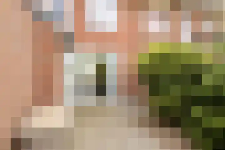 Boschdijk 878 Eindhoven thumbnail 45