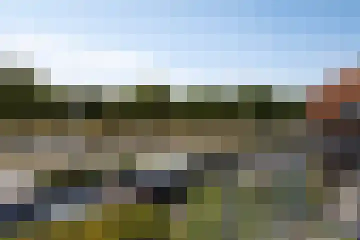 Boschdijk 878 Eindhoven thumbnail 47
