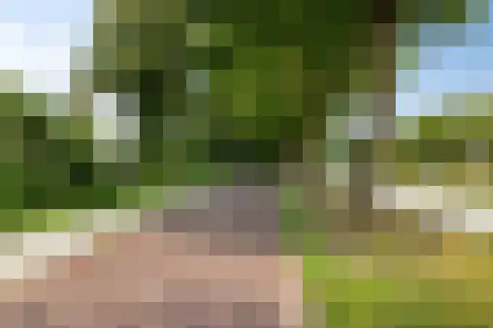 Boschdijk 878 Eindhoven thumbnail 48