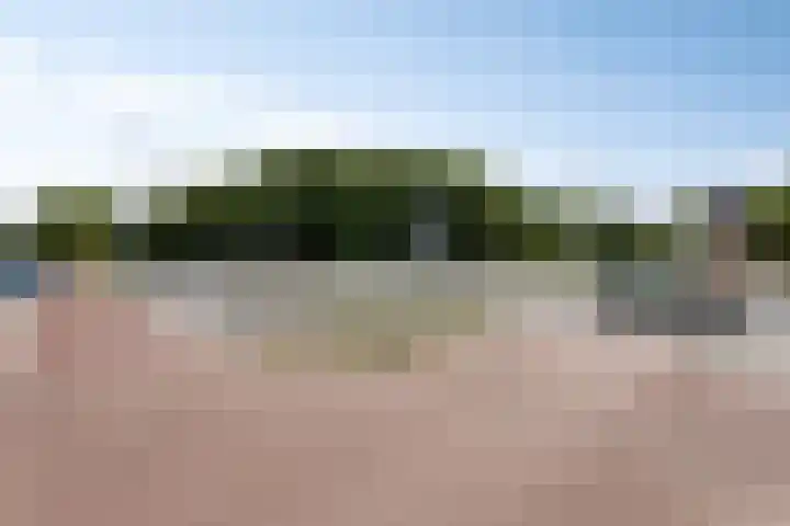Boschdijk 878 Eindhoven thumbnail 49