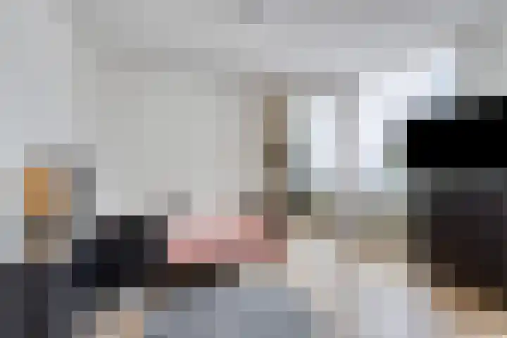 Boschdijk 878 Eindhoven thumbnail 5
