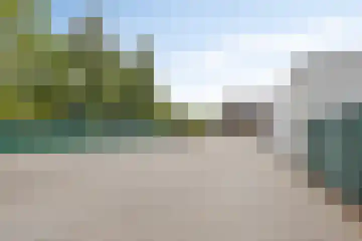 Boschdijk 878 Eindhoven thumbnail 60