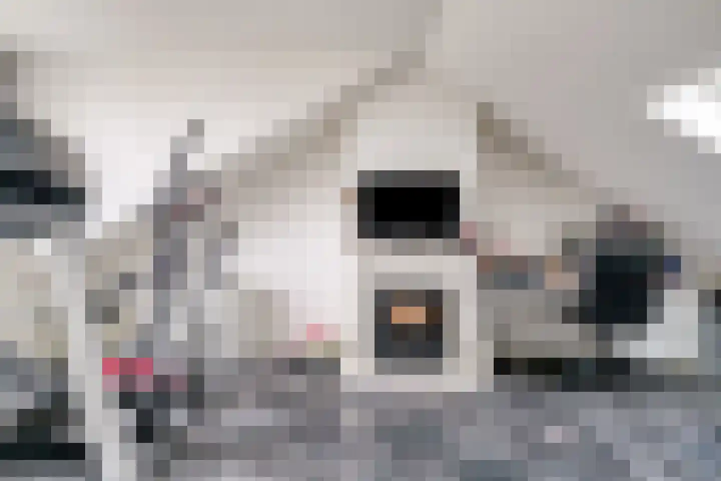 Boschdijk 926 Eindhoven thumbnail 41