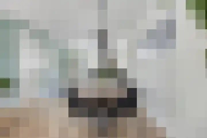 Boschhoeve 13 Nuenen thumbnail 14