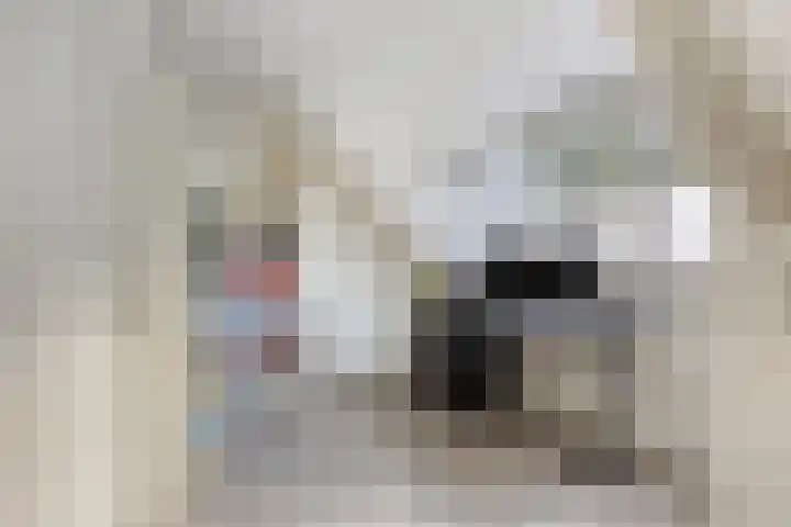 Boschhoeve 13 Nuenen thumbnail 44