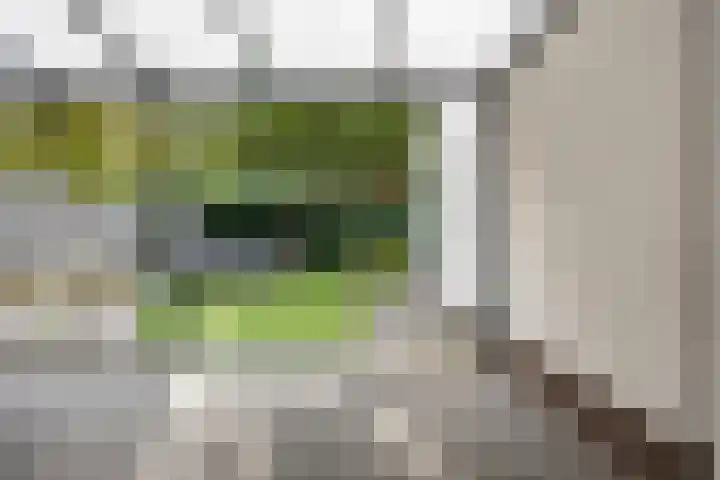 Boschhoeve 13 Nuenen thumbnail 49