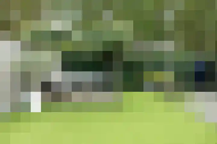 Boschhoeve 13 Nuenen thumbnail 51