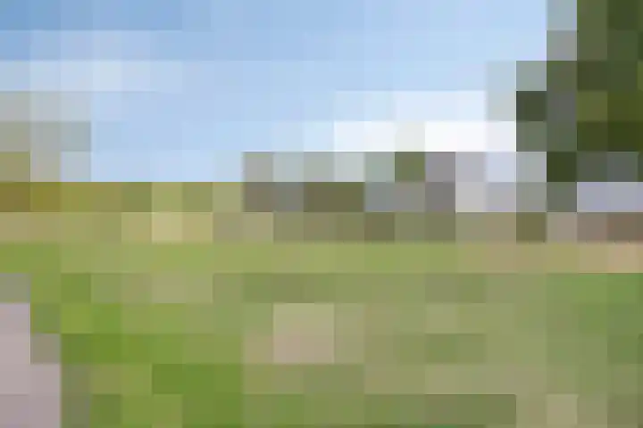 Boschhoeve 13 Nuenen thumbnail 55