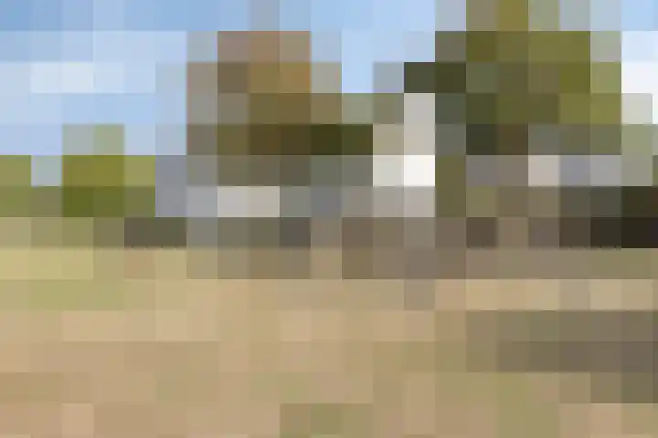 Boschhoeve 13 Nuenen thumbnail 56