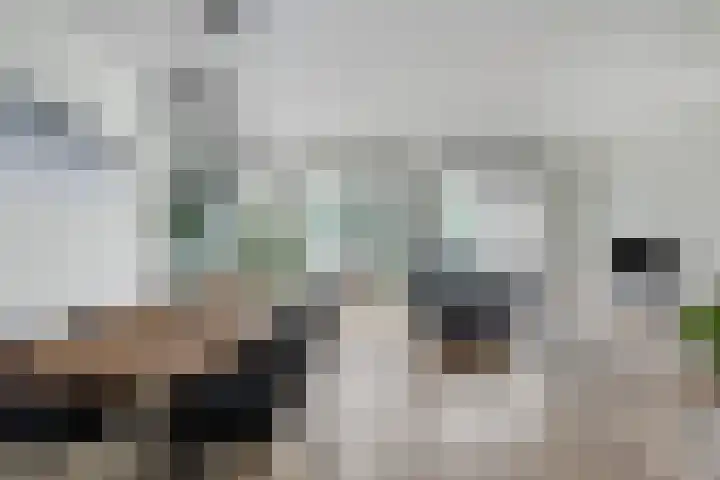 Boschhoeve 13 Nuenen thumbnail 7