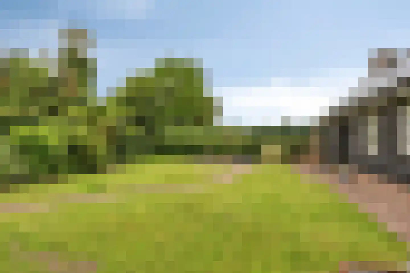 Boschhoven 42 b Leende thumbnail 26