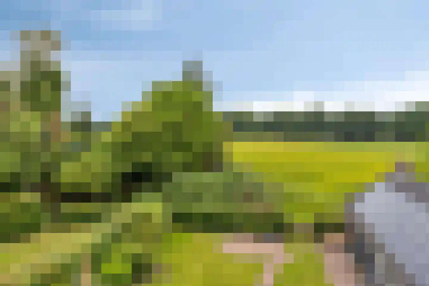Boschhoven 42 b Leende thumbnail 27