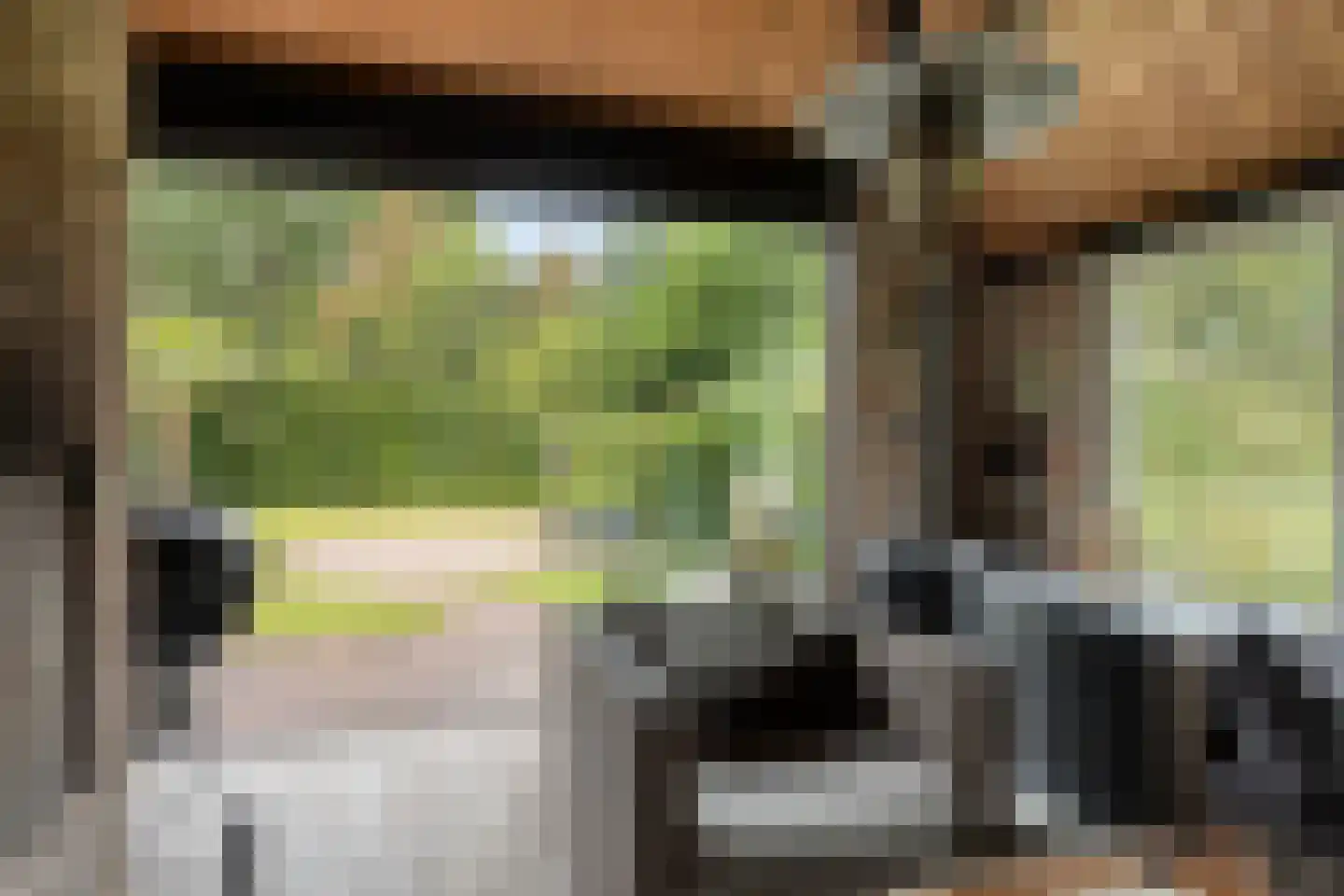 Boschhoven 42 b Leende thumbnail 31
