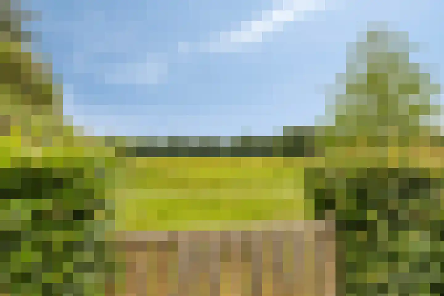 Boschhoven 42 b Leende thumbnail 33