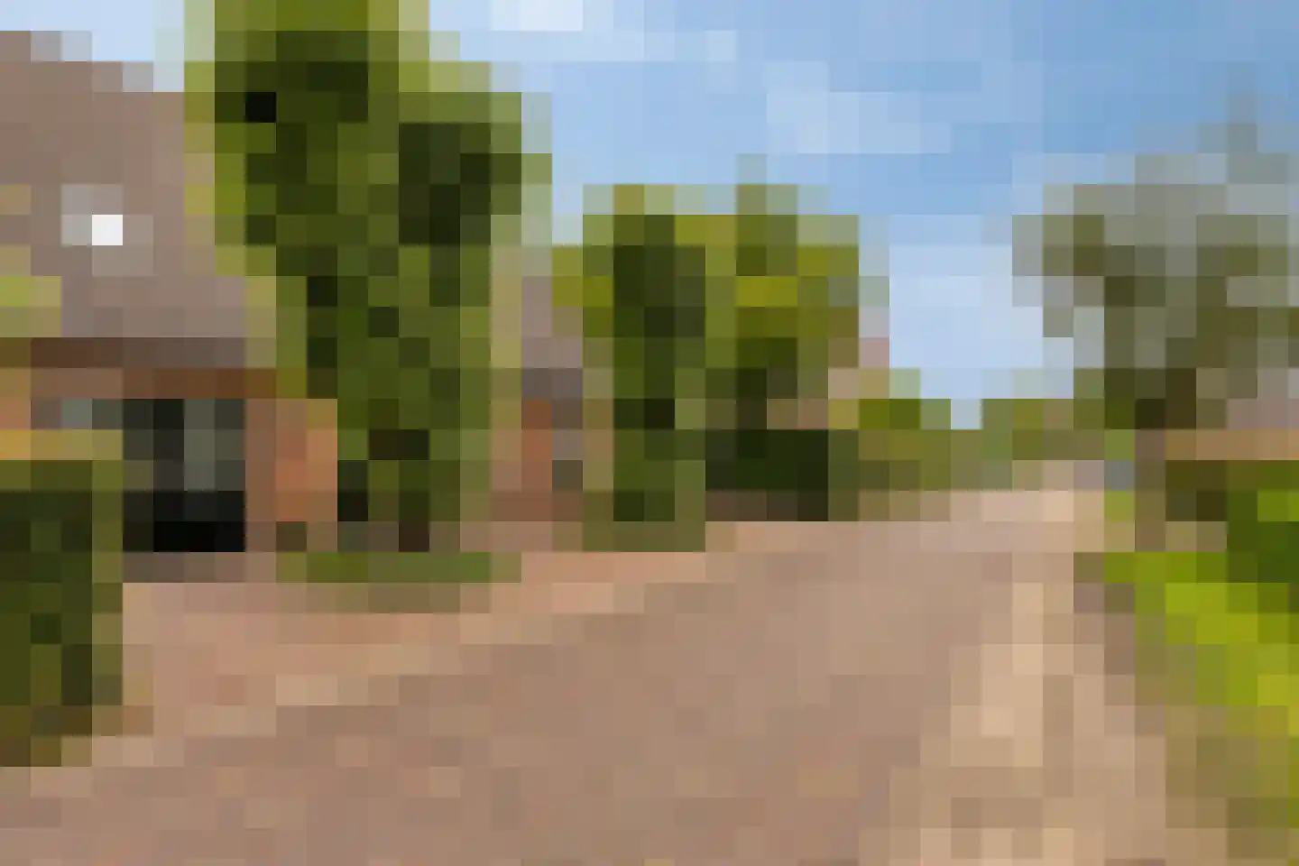 Boschhoven 42 b Leende thumbnail 5