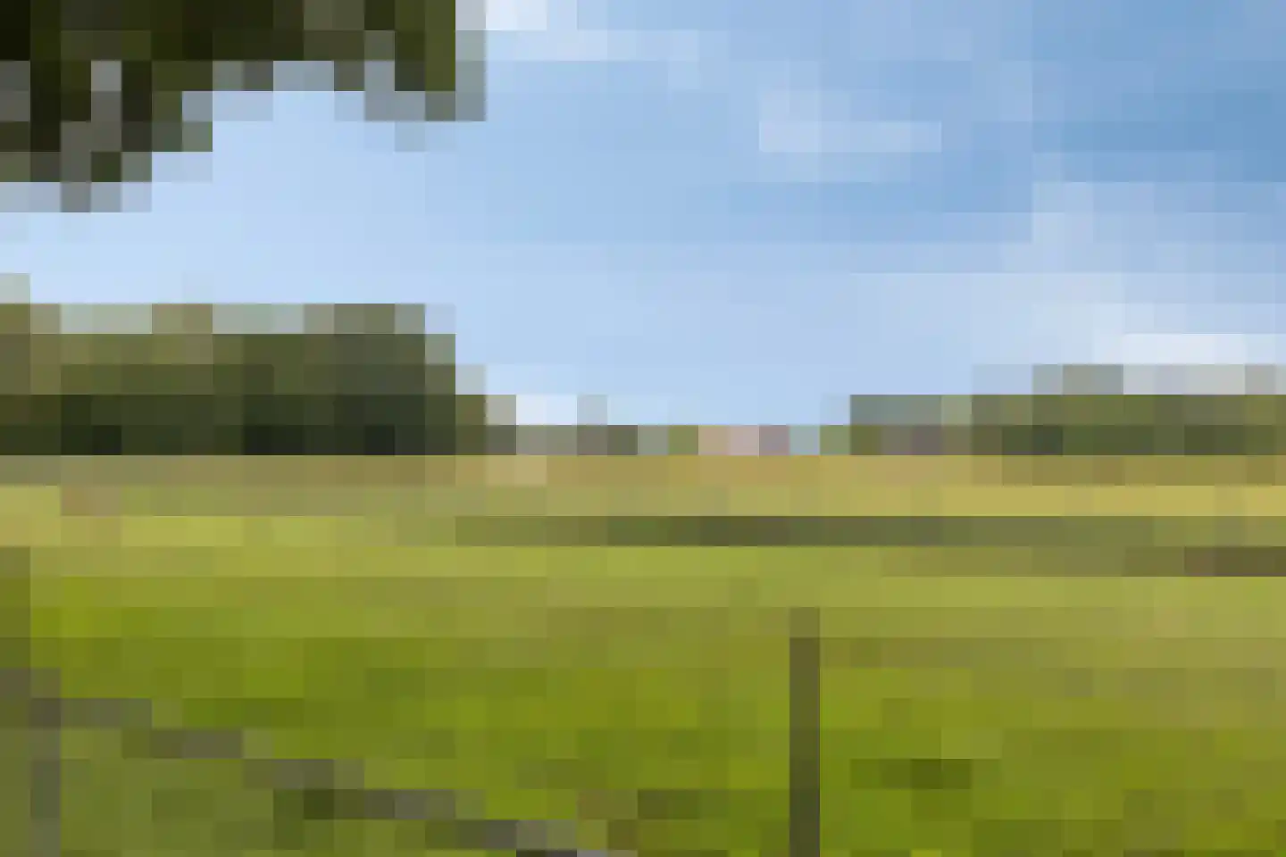 Boschhoven 42 b Leende thumbnail 52