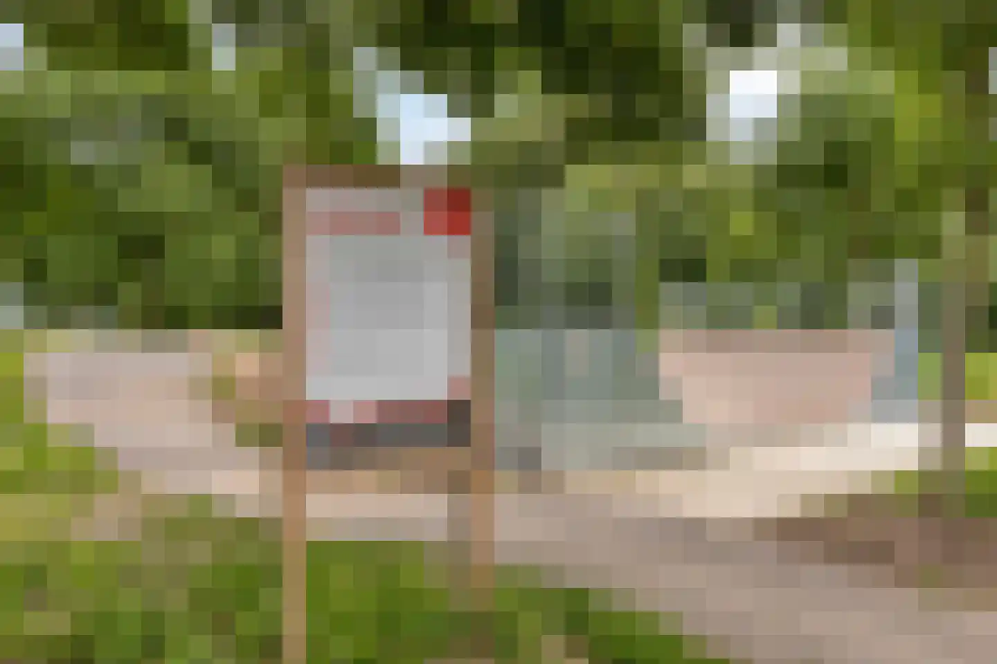 Boschhoven 42 b Leende thumbnail 53