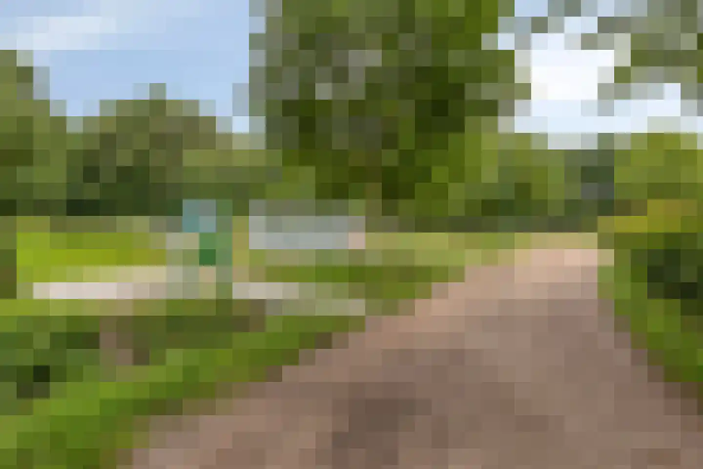 Boschhoven 42 b Leende thumbnail 54