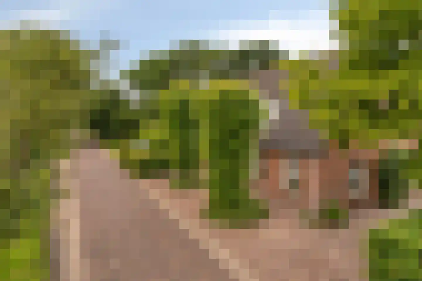 Boschhoven 42 b Leende thumbnail 6