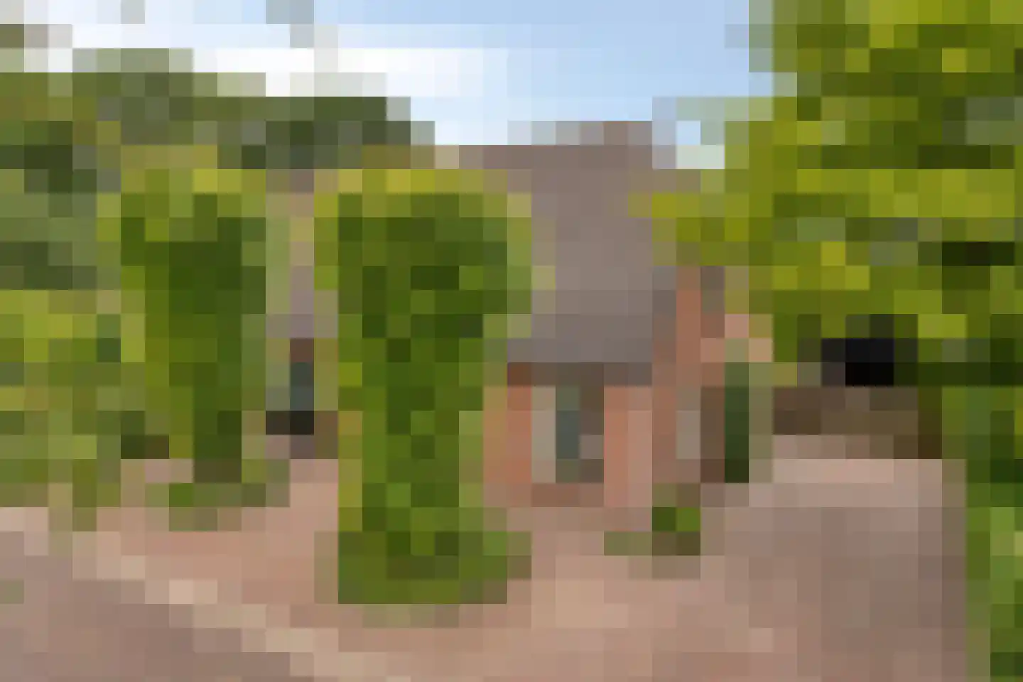 Boschhoven 42 b Leende thumbnail 7