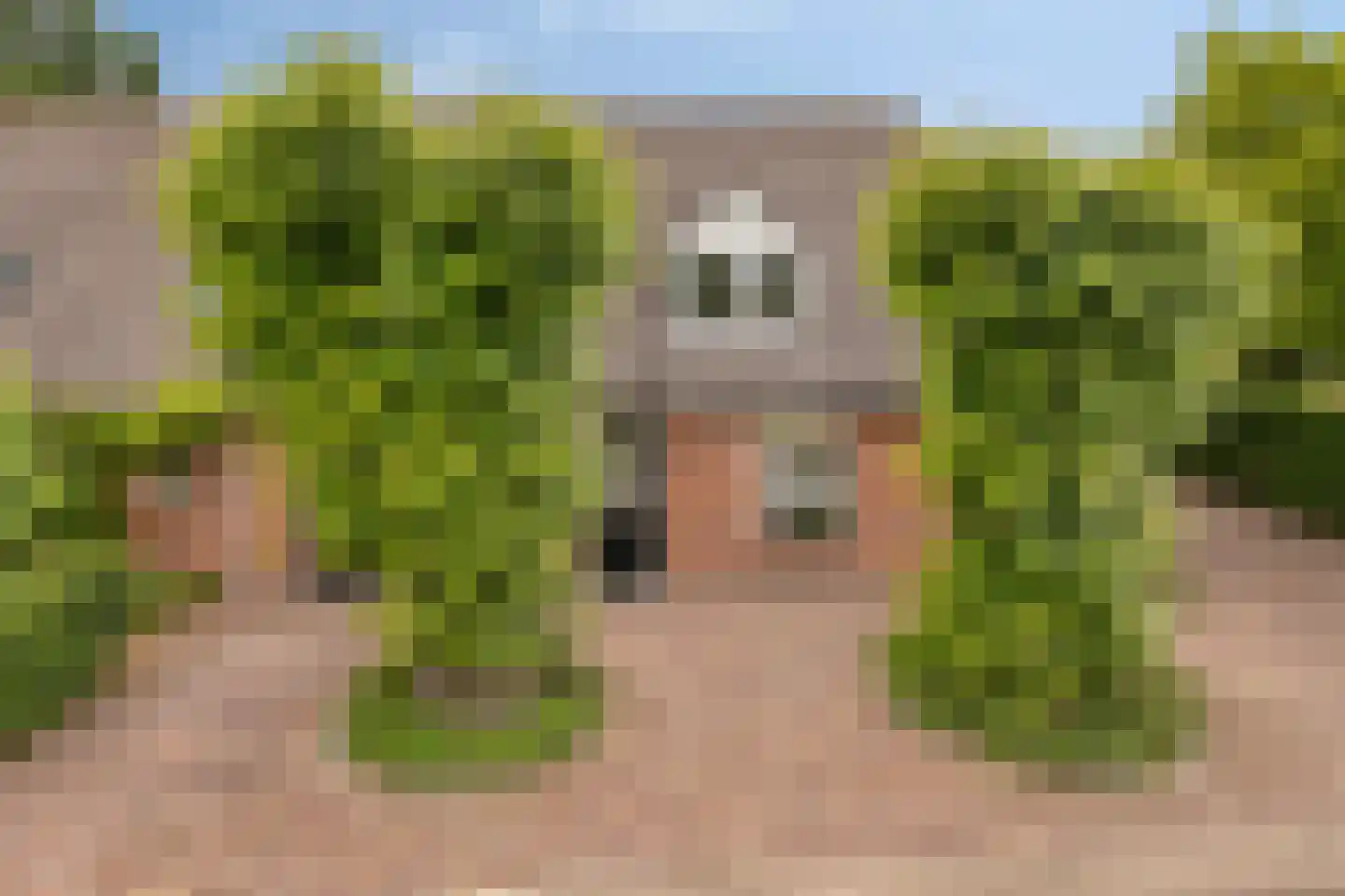 Boschhoven 42 b Leende thumbnail 8
