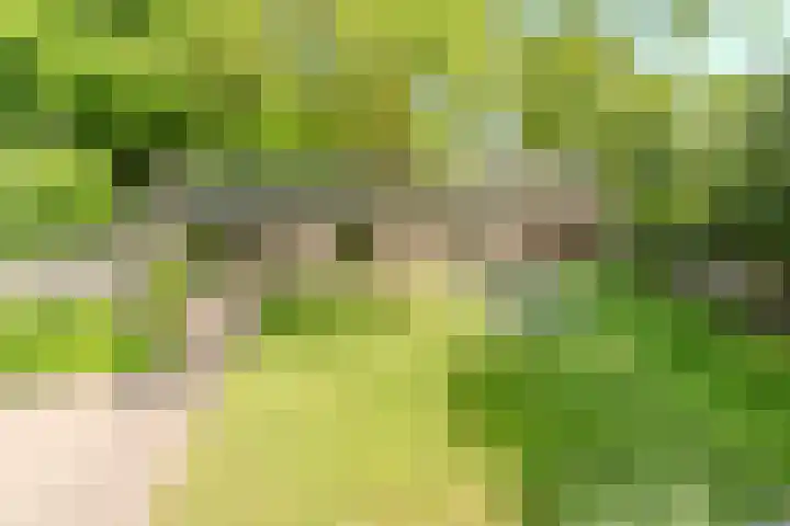 Boschhoven 9 Leende thumbnail 34