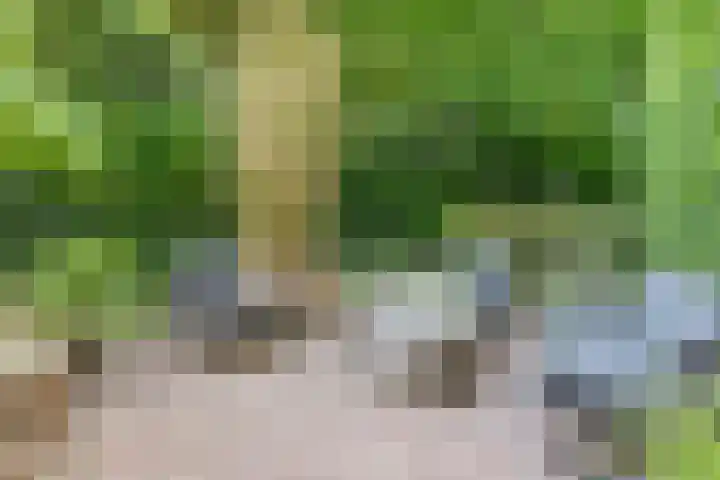 Boschhoven 9 Leende thumbnail 38