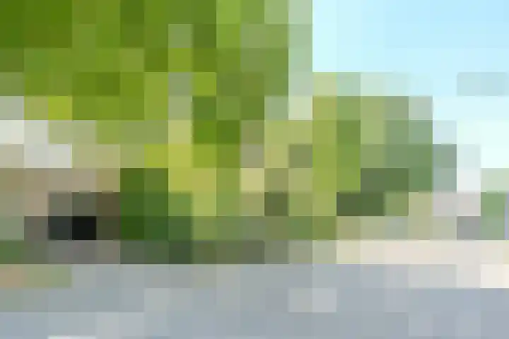 Boschhoven 9 Leende thumbnail 42