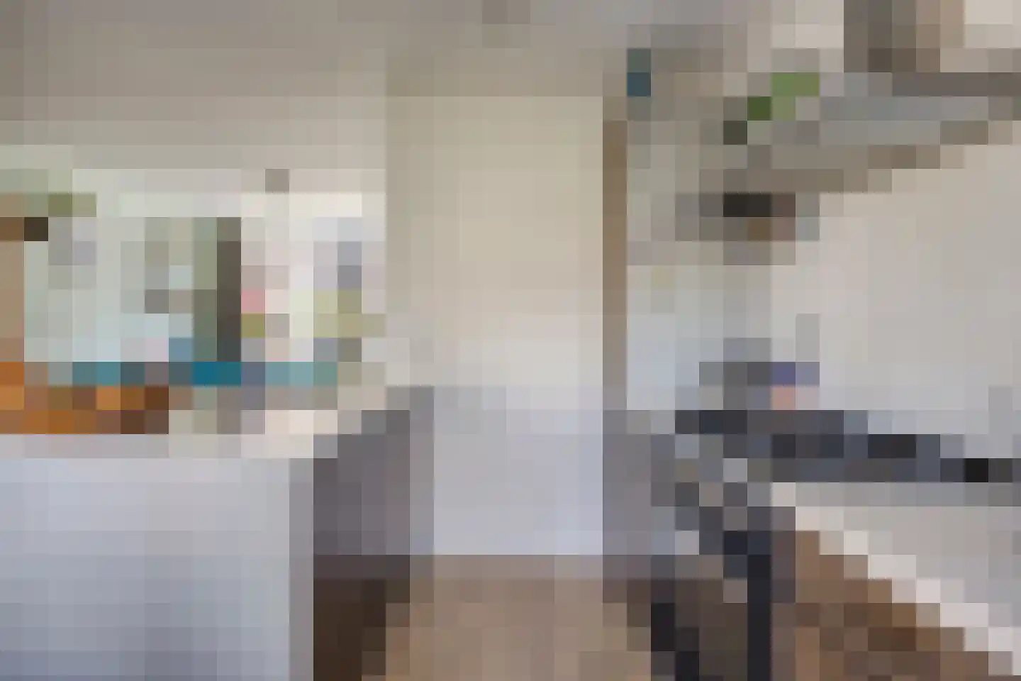 Boschjesstraat 20 Koog aan de Zaan thumbnail 12