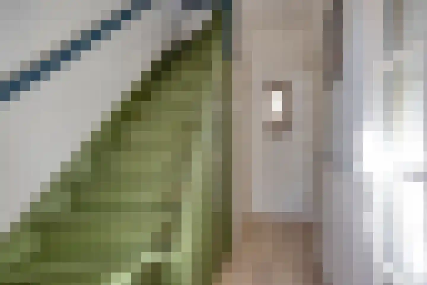 Boschjesstraat 20 Koog aan de Zaan thumbnail 15