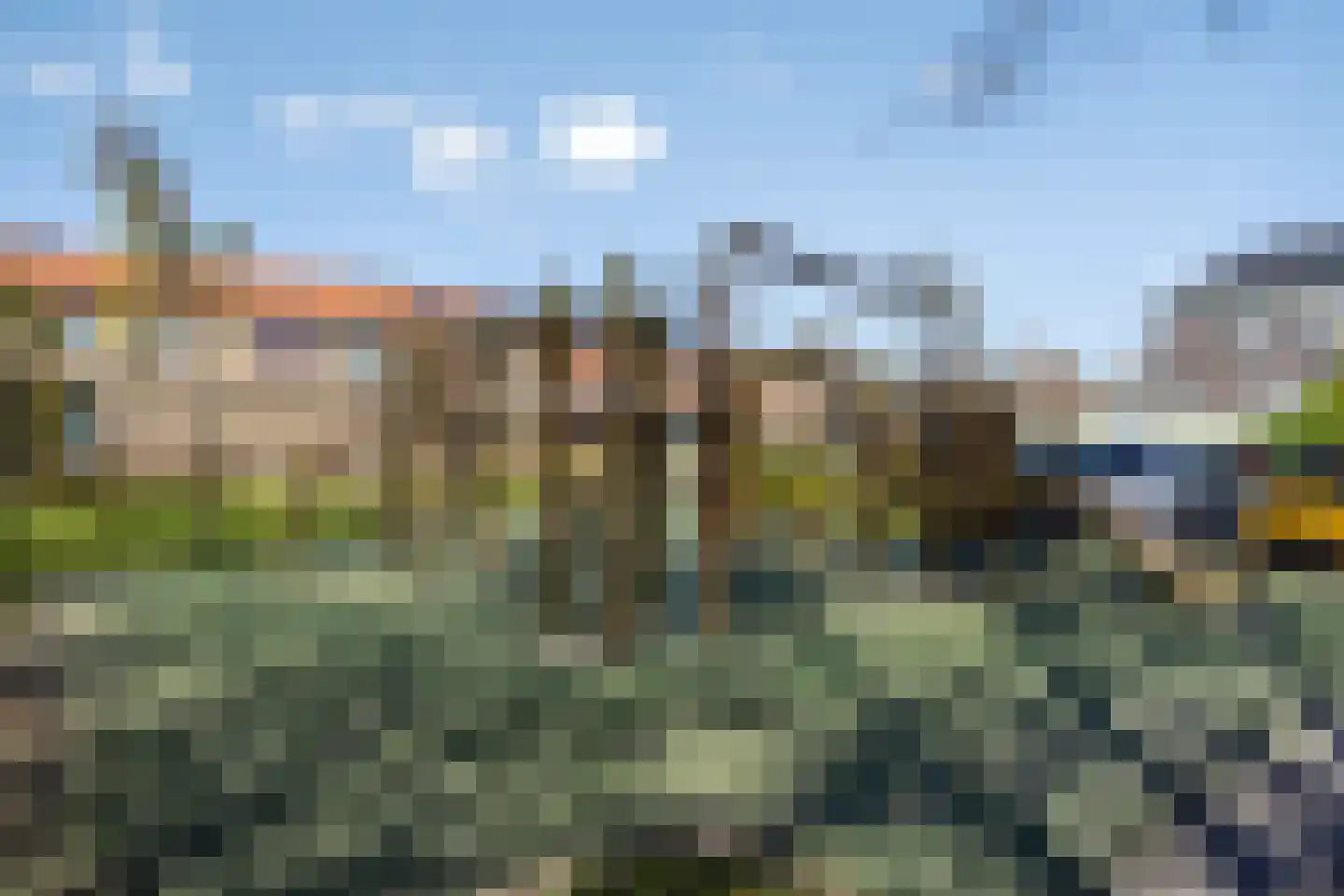 Boschjesstraat 20 Koog aan de Zaan thumbnail 30