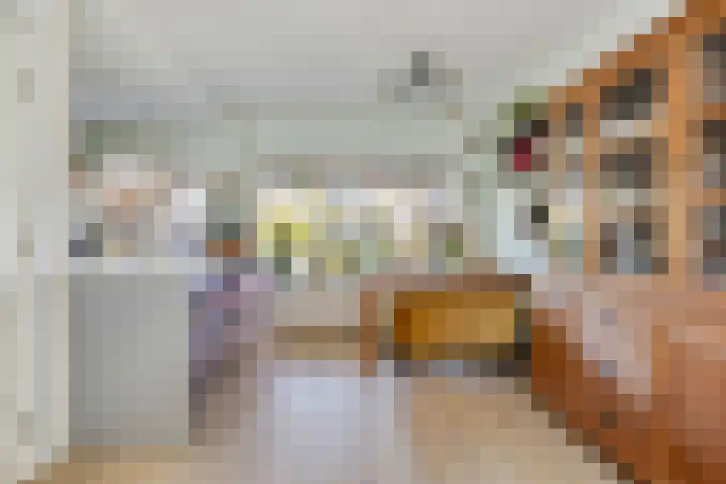 Boschjesstraat 20 Koog aan de Zaan thumbnail 8