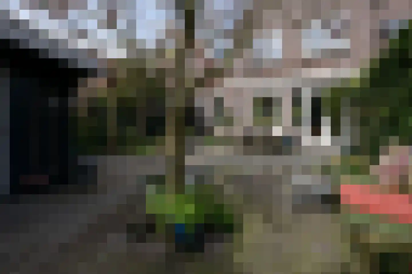 Boschjesstraat 39 Koog aan de Zaan thumbnail 37