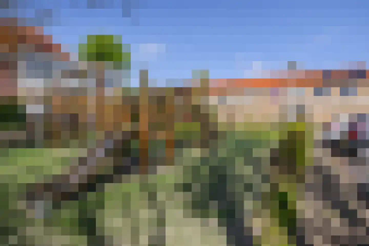 Boschjesstraat 39 Koog aan de Zaan thumbnail 4