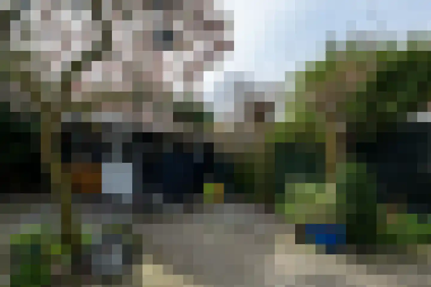 Boschjesstraat 39 Koog aan de Zaan thumbnail 43