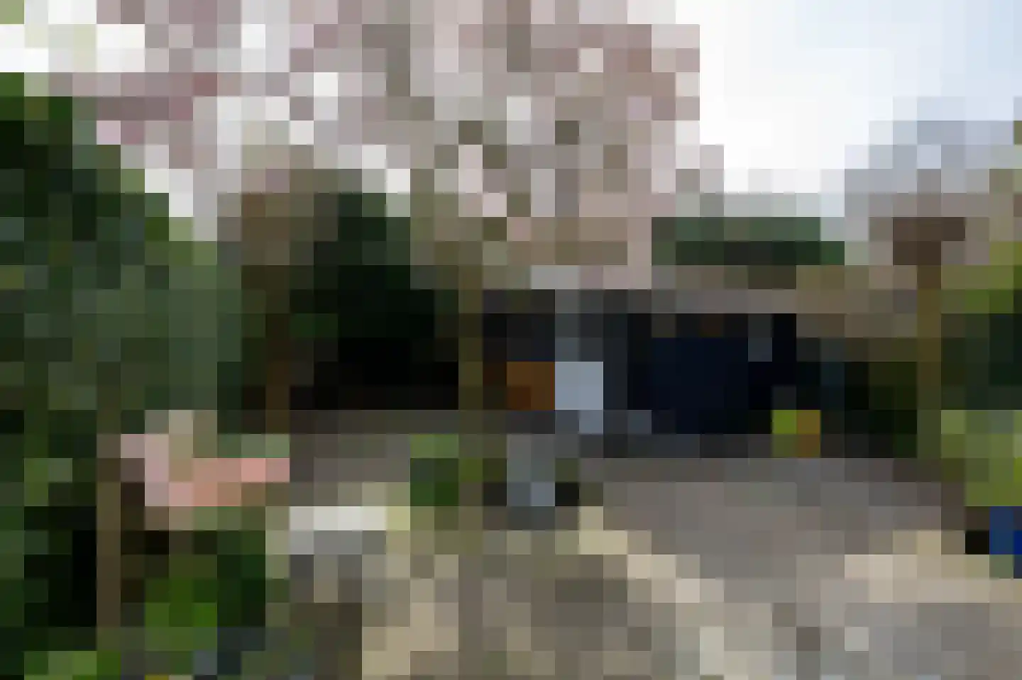 Boschjesstraat 39 Koog aan de Zaan thumbnail 45