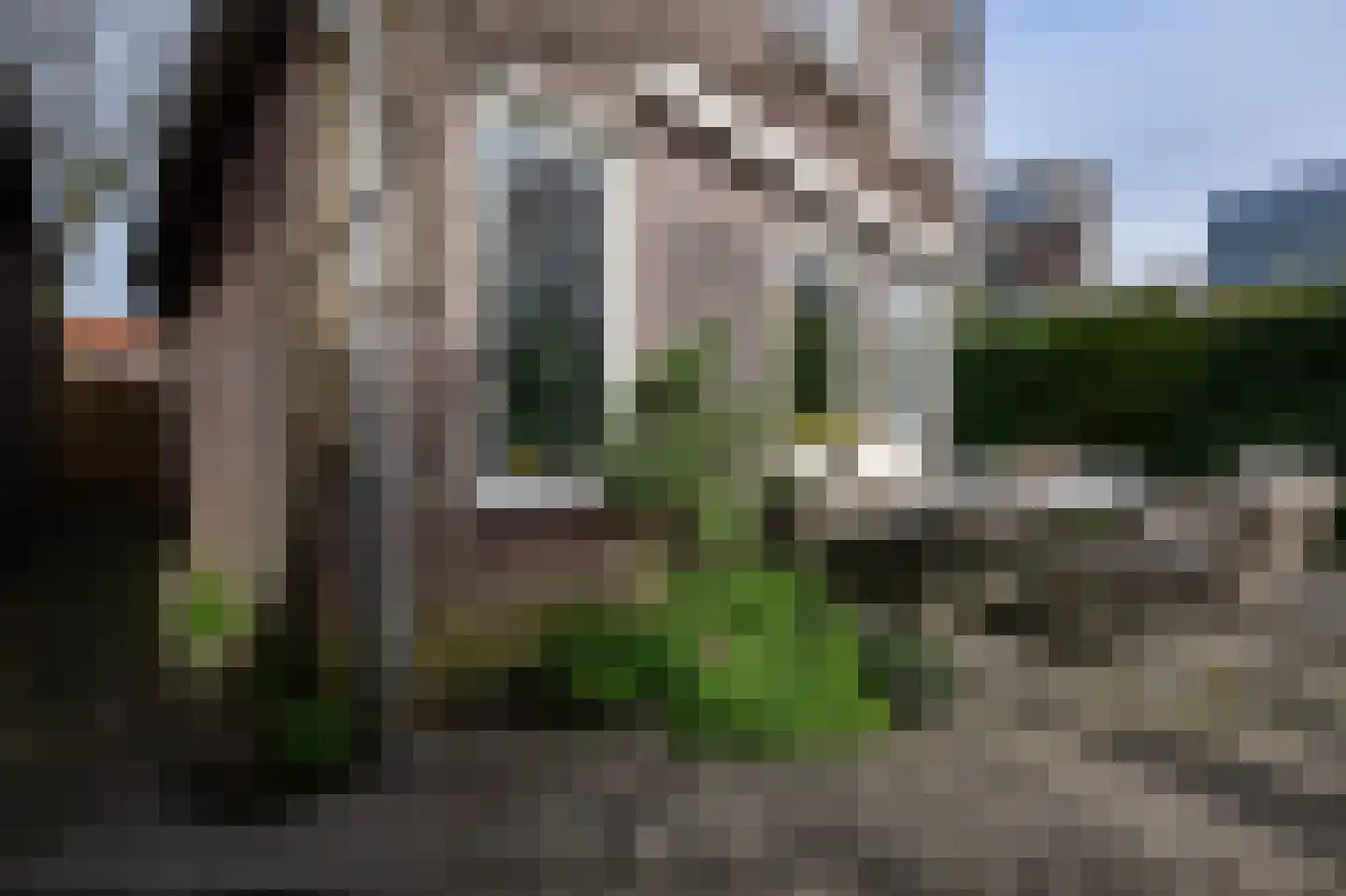 Boschjesstraat 39 Koog aan de Zaan thumbnail 47