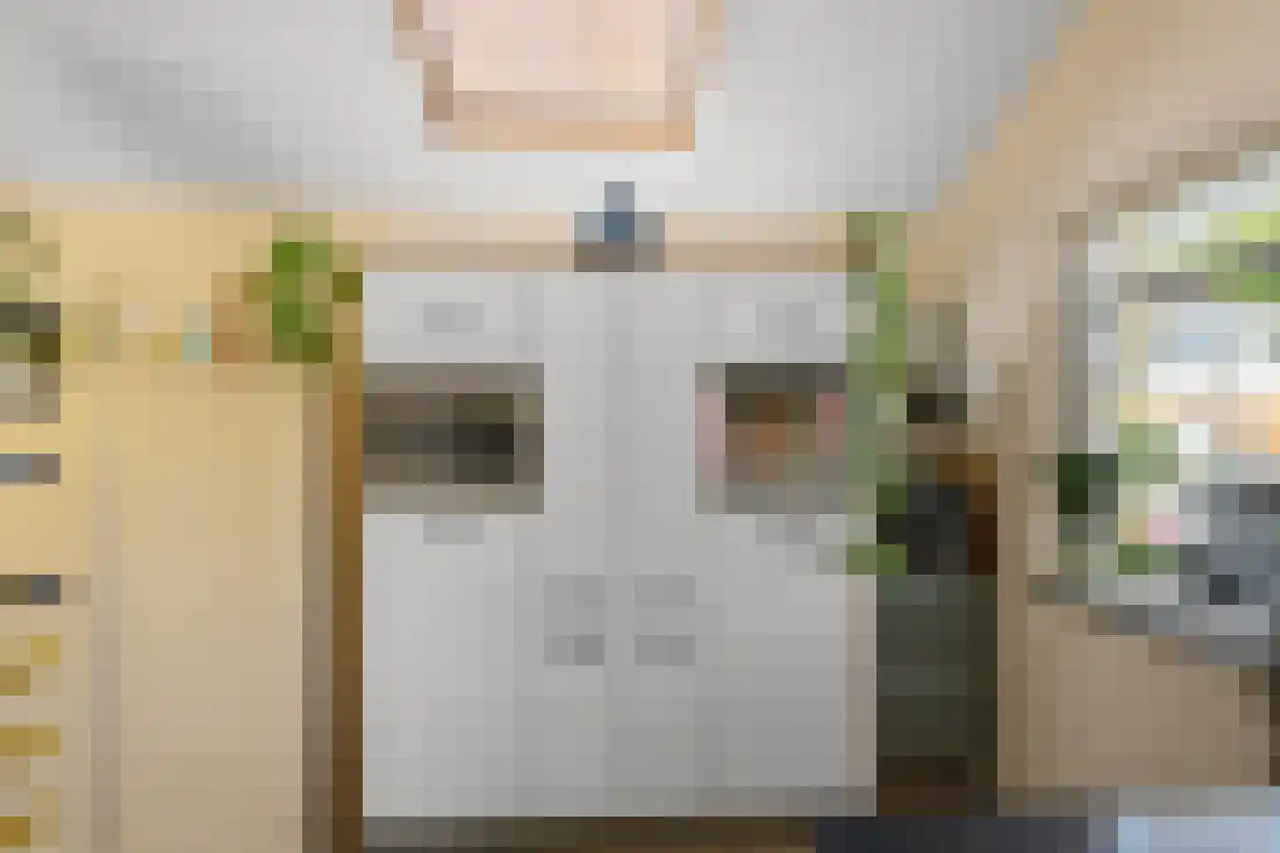 Boschjesstraat 39 Koog aan de Zaan thumbnail 5