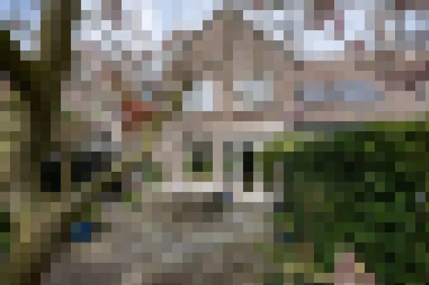 Boschjesstraat 39 Koog aan de Zaan thumbnail 52