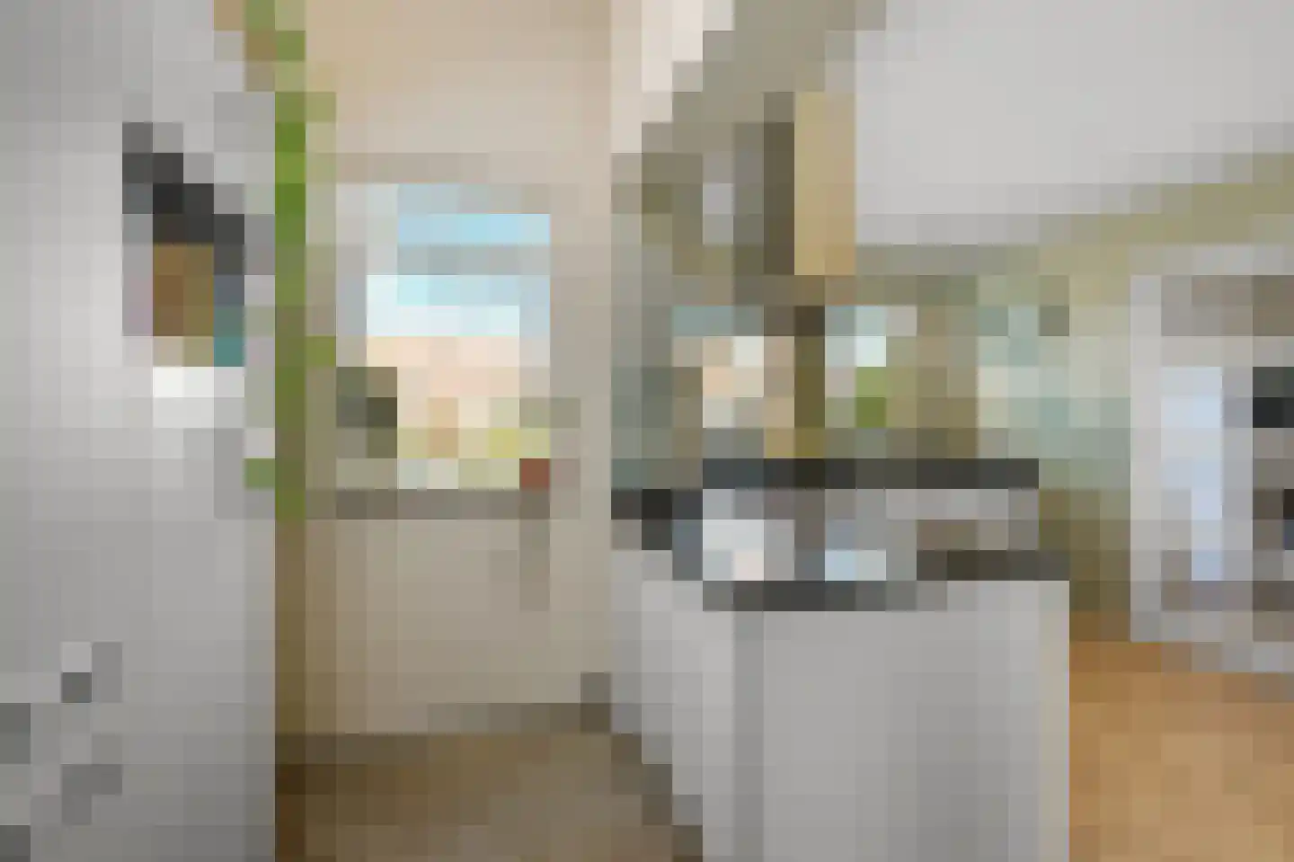 Boschjesstraat 39 Koog aan de Zaan thumbnail 7