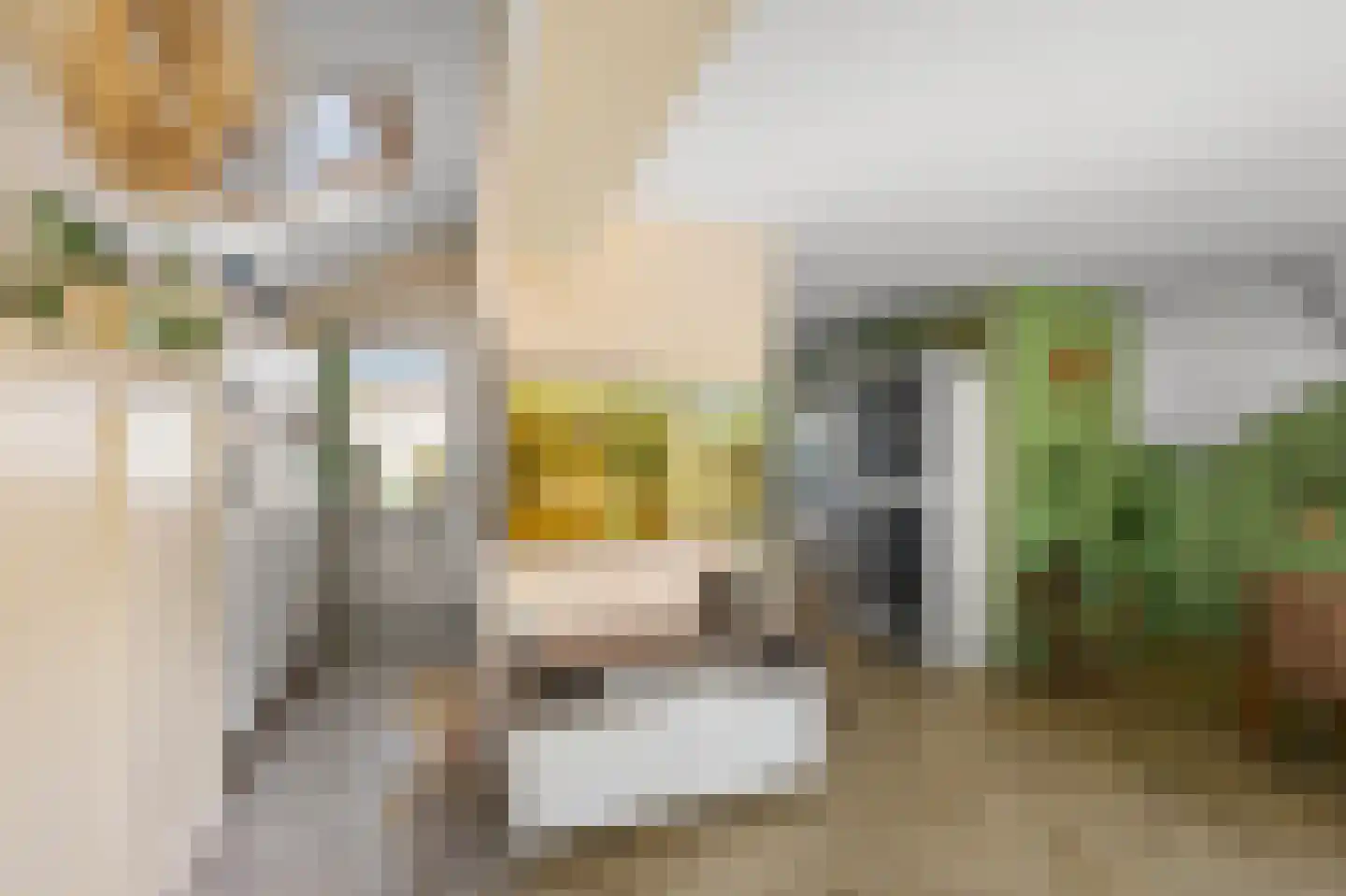 Boschjesstraat 39 Koog aan de Zaan thumbnail 9