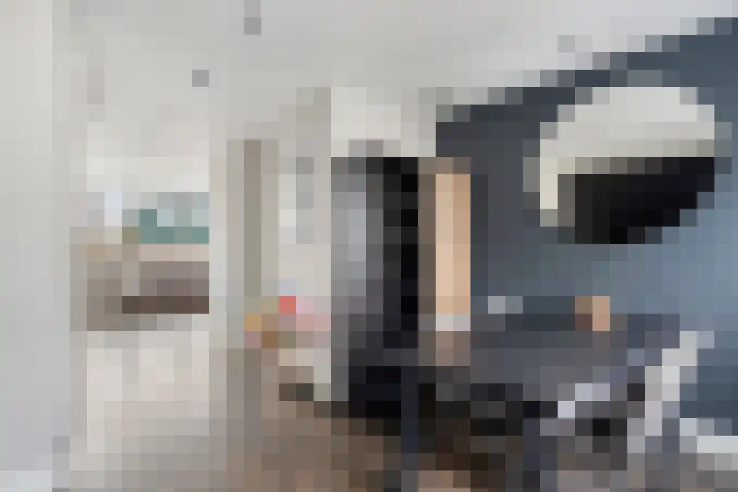 Boschjesstraat 67 Koog aan de Zaan thumbnail 15