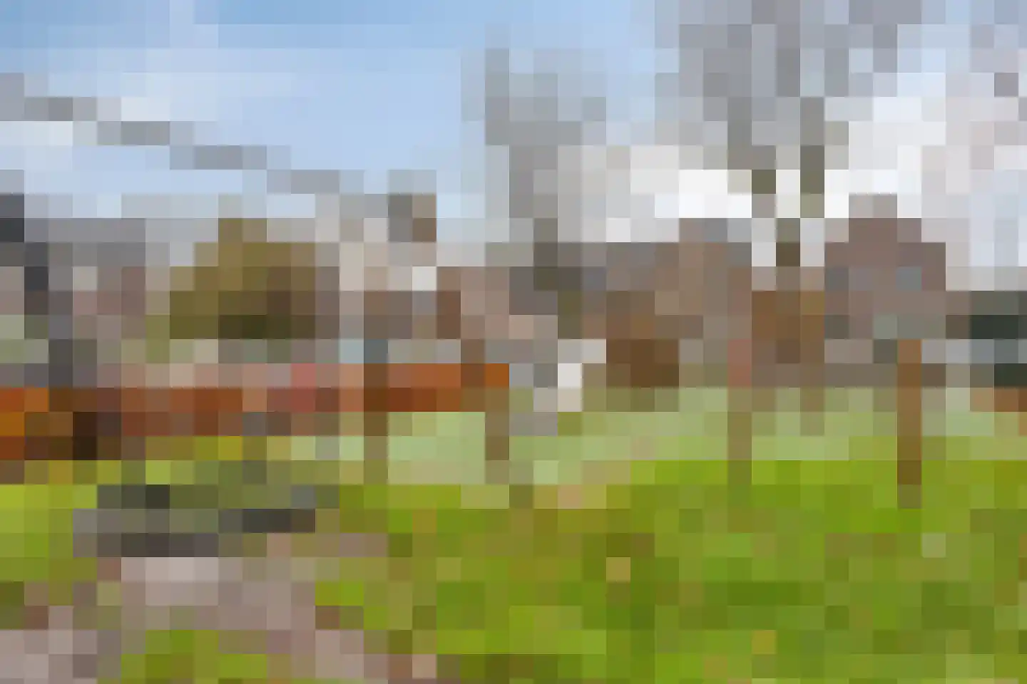 Boschjesstraat 67 Koog aan de Zaan thumbnail 33