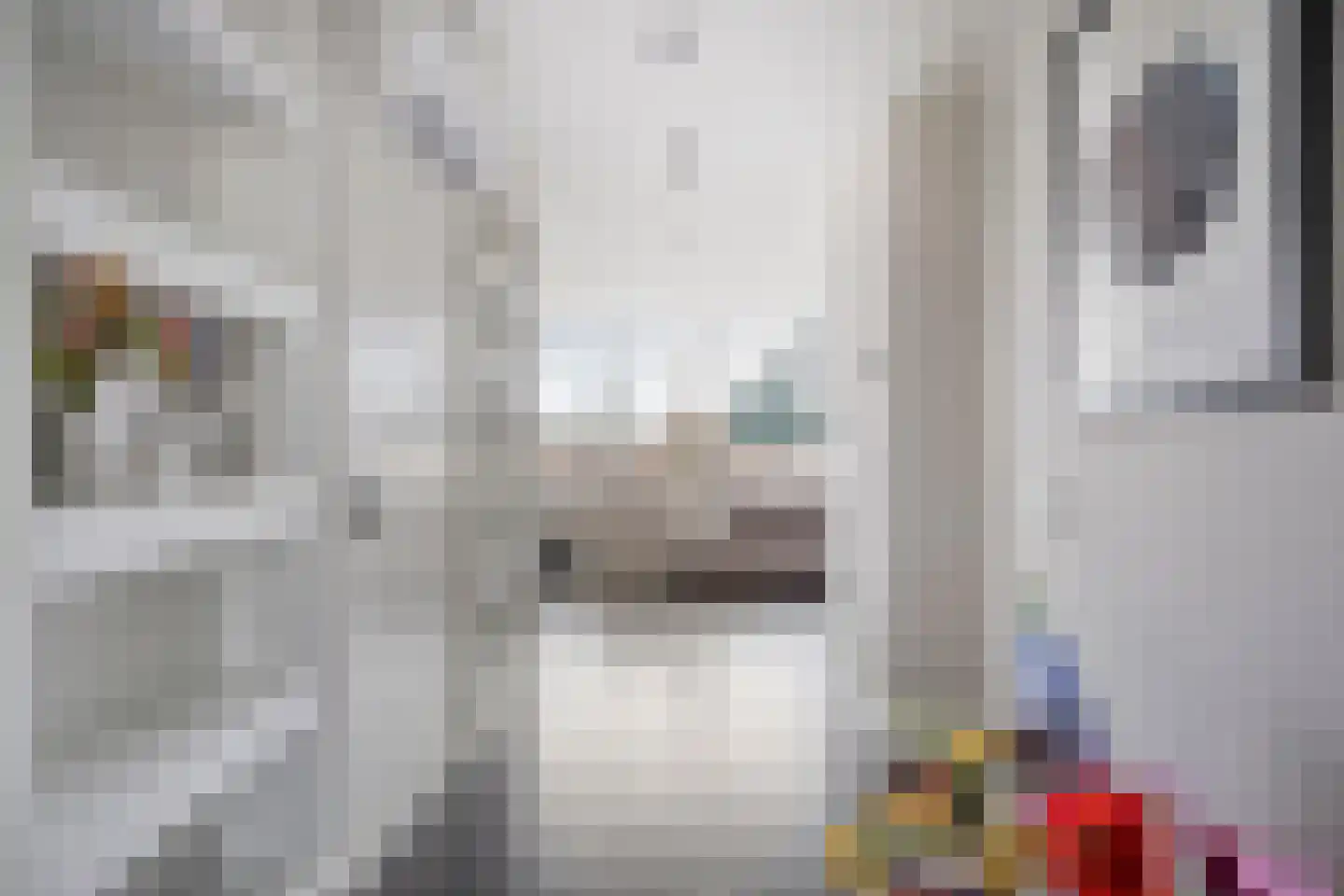 Boschjesstraat 67 Koog aan de Zaan thumbnail 6