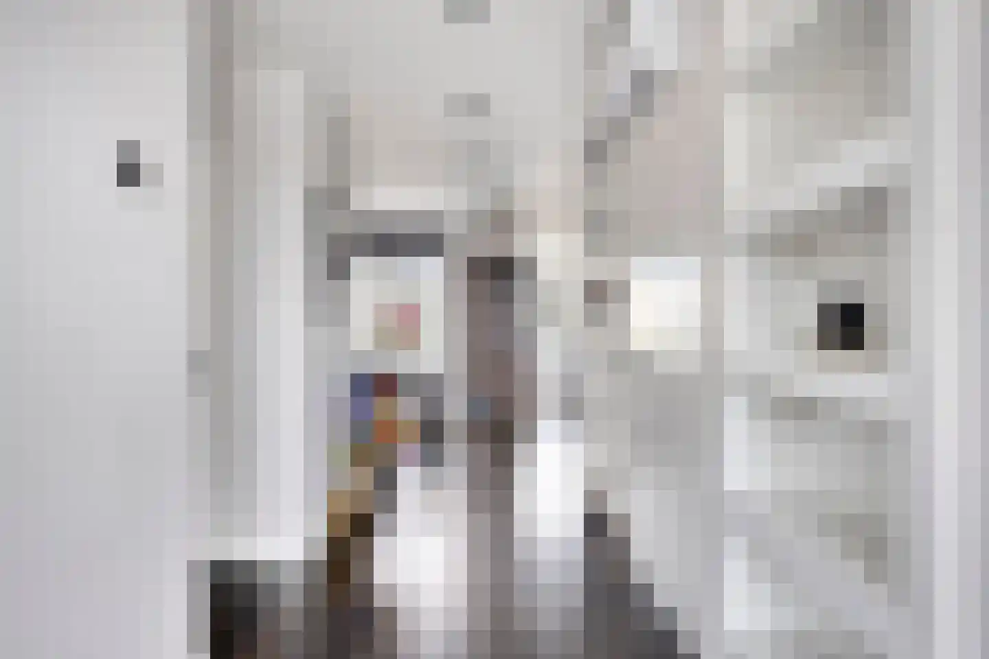 Boschjesstraat 67 Koog aan de Zaan thumbnail 9